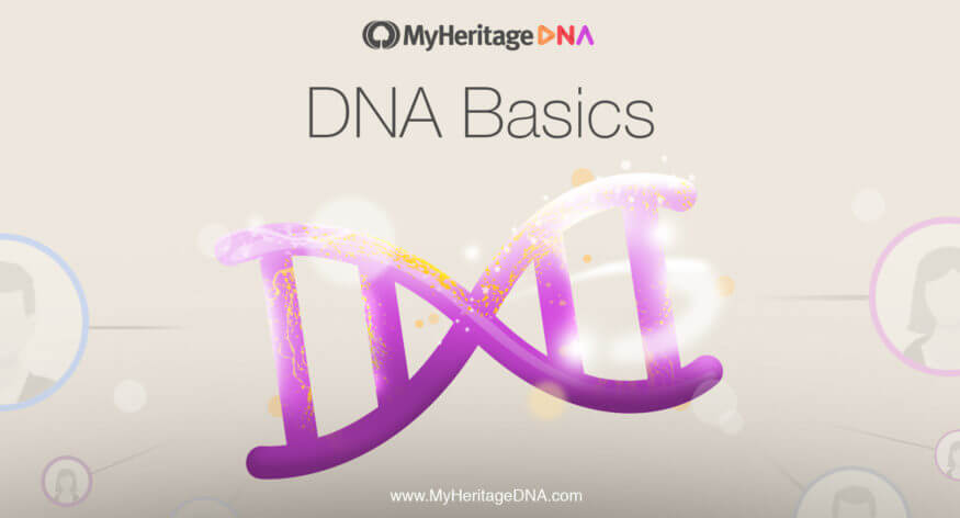 DNAn perusteet, osa 10: Kuinka MyHeritage DNA-testaus auttaa sinua löytämään sukulaisia