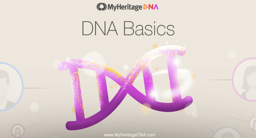 DNA:n perusteet, osa 3: DNAn ilmentymä
