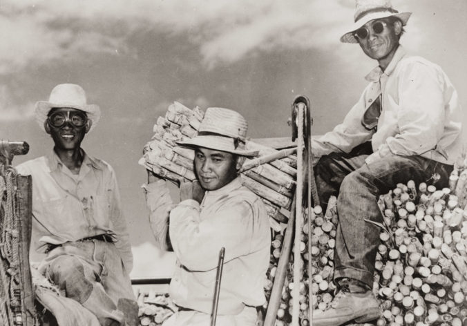 Filippiiniläisiä työläisiä sokeriplantaasilla n. 1950 (Lähde: http://www.honolulumagazine.com/ )