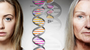 Vieraspostaus: Johdanto geneettiseen sukututkimukseen