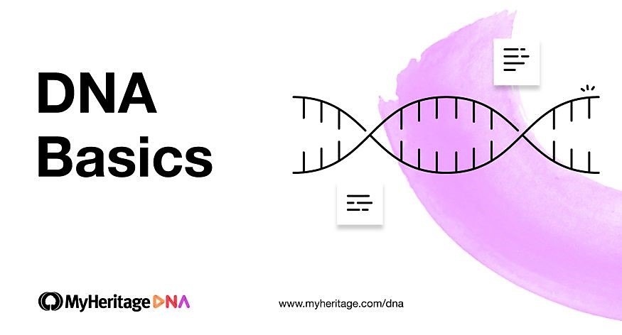 DNAn perusteet osa 11: Mitä geneettinen sukututkimus on?