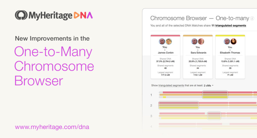 One-to-Many kromosomiselain – parannuksia tehty