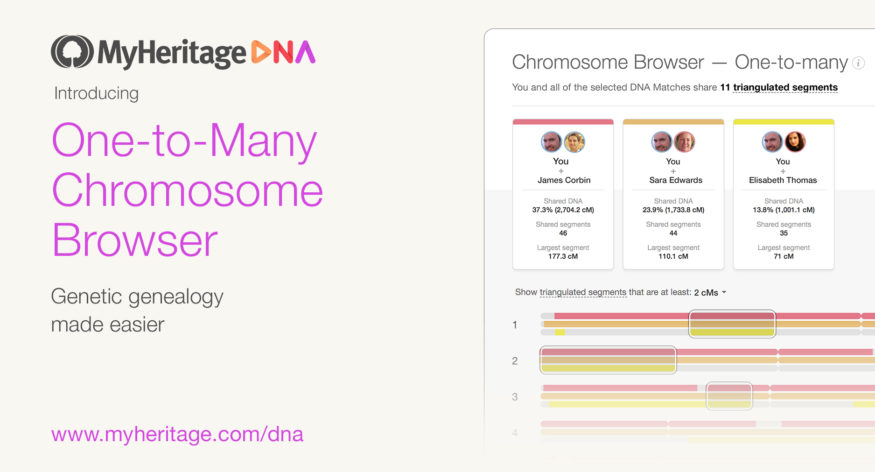 Tärkeä päivitys MyHeritagen kromosomiselaimeen, jotta sinun on helpompi tutkia DNA-osumiasi