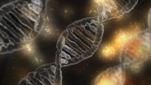 DNA-päivä – tiesitkö tämän DNAsta?