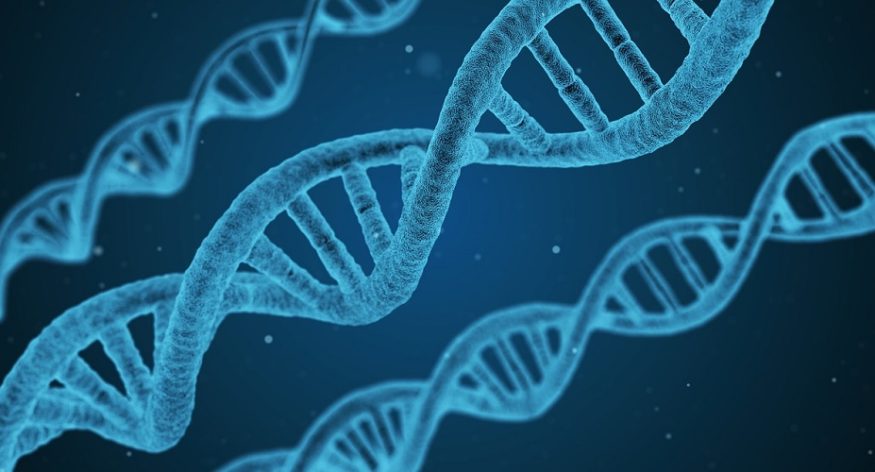 DNAn perusteet, Osa 1: uusi blogisarja